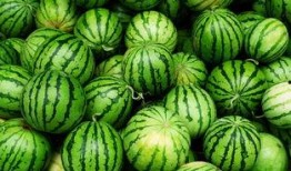 宜春网红吃瓜事件真相,揭秘背后真相与网络舆论的反思